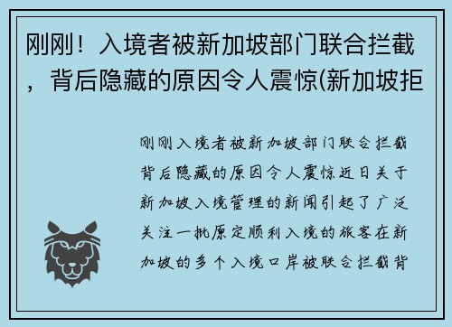 刚刚!入境者被新加坡部门联合拦截,背后隐藏的原因令人震惊(新加坡拒绝入境遣返申诉流程)