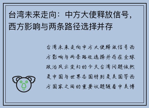 台湾未来走向:中方大使释放信号,西方影响与两条路径选择并存